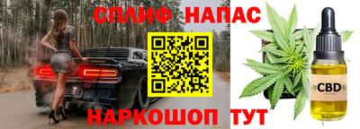 мдпв Рузаевка