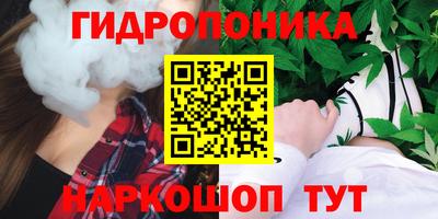 мдпв Рузаевка