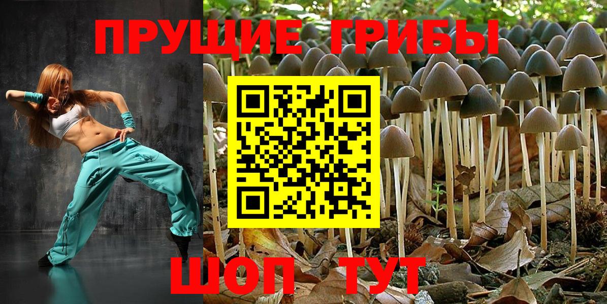 Галлюциногенные грибы MAGIC MUSHROOMS Сургут